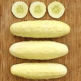 Silver Slicer Cucumber Seeds (25+ Seeds)(More Heirloom, Organic, Non GMO, Vegetable, Fruit, Herb, Flower Garden Seeds (25+ Seeds) at Seed King Express) Photo, best price $3.69 new 2024