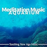 Soothing New Age Music Photo, best price $0.99 new 2024