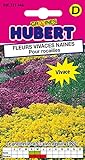 Mélange de Graines de Fleurs Vivaces Naines Pour Rocailles - 0,5 grammes Photo, meilleur prix 4,65 € nouveau 2024