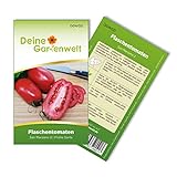 Flaschentomaten San Marzano 2 Samen - Solanum lycopersicum - Tomatensamen - Gemüsesamen - Saatgut für 20 Pflanzen Foto, bester Preis 1,99 € (0,10 € / stück) neu 2024