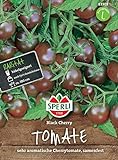 83303 Sperli Premium Tomaten Samen Black Cherry | Cherrytomate | Schwarze Tomaten | Cherry Tomaten | Schwarze Tomaten Samen Foto, bester Preis 5,47 € neu 2024