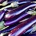 Photo David's Garden Seeds Eggplant Long Purple 1131 (Purple) 50 Non-GMO, Heirloom Seeds