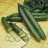 Cucumber, Long Green Improved, Heirloom,99+ Seeds, Great for Any Veggie Platter Photo, best price $2.99 new 2024