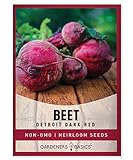 Beet Seeds for Planting Detroit Dark Red 100 Heirloom Non-GMO Beets Plant Seeds for Home Garden Vegetables Makes a Great Gift for Gardeners by Gardeners Basics Photo, best price $5.95 new 2024