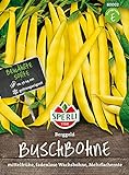 80002 Sperli Premium Buschbohnen Samen Berggold | Ertragreich | Fadenlos | Buschbohnen Samen ohne Fäden | Ackerbohnen Saatgut Foto, bester Preis 3,48 € (3,48 € / count) neu 2024