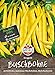 Foto 80002 Sperli Premium Buschbohnen Samen Berggold | Ertragreich | Fadenlos | Buschbohnen Samen ohne Fäden | Ackerbohnen Saatgut