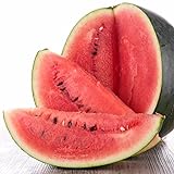 Black Diamond Watermelon Seeds, 50 Heirloom Seeds Per Packet, Non GMO Seeds Photo, best price $6.25 ($0.12 / Count) new 2024