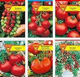 Frankonia-Samen / Tomatensamen-Sortiment / 6 Tomatensorten / Tomate Supersweet / Tomate Harzfeuer / Tomate Matina / Tomate Hellfrucht / Fleischtomate / Tomate Balkonzabuber Foto, bester Preis 6,95 € neu 2024