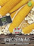 Maissamen - Mais (Popcornmais) Nana von Sperli-Samen Foto, bester Preis 4,97 € neu 2024