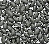 Bean Seed, Black Turtle Bush Bean, Heirloom, Non GMO, 100 Seeds, Terrific Black Beans Photo, best price $3.99 new 2024
