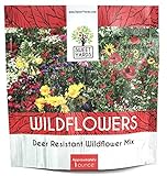 Deer Resistant Wildflower Seed Mixture - Bulk 1 Ounce Packet - Over 15,000 Deer Tolerant Seeds - Open Pollinated and Non GMO Photo, best price $7.97 new 2024