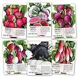 Seed Needs, Multicolor Radish Seed Packet Collection (6 Individual Packets) Non-GMO Seeds Photo, best price $11.85 new 2024