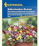 Balkonkasten-Blumenmix Pflegeleichte Sonnenkinder,1 Portion Foto, bester Preis 3,99 € neu 2024