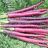 David's Garden Seeds Carrot Cosmic Purple 1199 (Purple) 200 Non-GMO, Heirloom Seeds Photo, best price $3.45 new 2024