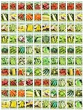 100 Assorted Heirloom Vegetable Seeds 100% Non-GMO (100, Deluxe Assorted Vegetable Seeds) Photo, best price $47.99 ($0.48 / Count) new 2024