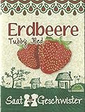 Die Stadtgärtner Erdbeere Tubby Red-Saatgut | Ideal zum Naschen | Samen für saftige rote Erdbeeren Foto, bester Preis 3,90 € neu 2024