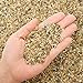 Photo 2.7 lb Coarse Sand Stone - Succulents and Cactus Bonsai DIY Projects Rocks, Decorative Gravel for Plants and Vases Fillers，Terrarium, Fairy Gardening, Natural Stone Top Dressing for Potted Plants.