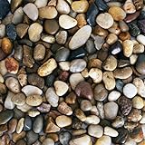 Galashield River Rocks Polished Pebbles Decorative Stones Natural Aquarium Gravel (2 lb Bag) Photo, best price $12.99 new 2024