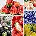 Foto Oce180anYLVUK Erdbeersamen, 100 Stück/Beutel Mehrfarbige Vitaminreiche Erdbeersamen GVO-freie Fruchtsämlinge Für Die Landwirtschaft Schwarz
