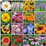 All Perennial Wildflower Seed Mix - 1/4 Pound, Mixed, Attracts Pollinators, Attracts Hummingbirds, Easy to Grow & Maintain Photo, best price $14.25 new 2024