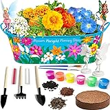 Little Planters Paint & Grow Fairy Garden with Real Flowers and Magical Fairies - Paint, Plant and Grow Morning Glory, Marigold and Alyssum Flowers - Craft Kit for Kids All Ages Both Girls and Boys Photo, best price $24.99 new 2024