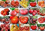 Mixed Seeds! 30 Giant Tomato Seeds, Mix of 19 Varieties, Heirloom Non-GMO, Brandywine Black, Red, Yellow & Pink, Mr. Stripey, Old German, Black Krim, from USA Photo, best price $5.69 ($0.19 / Count) new 2024