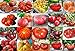 Photo Mixed Seeds! 30 Giant Tomato Seeds, Mix of 19 Varieties, Heirloom Non-GMO, Brandywine Black, Red, Yellow & Pink, Mr. Stripey, Old German, Black Krim, from USA