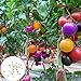 Foto Semillas de tomate raras, 100 piezas / bolsa Semillas Ensaladas de frutas tolerantes a la sequía Semillas de jardín frescas no transgénicas para jardín