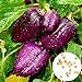 Photo 0 Pcs/sac de graines de poivre doux taux élevé de germination facile à faire pousser, facile à manipuler magnifiquement les graines de poivre de lanterne douce violette pour l'agriculture dom Gra