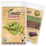 Organic Bean Seeds, APPR. 30, Windsor Fava Bean, Heirloom Vegetable Seeds, Certified Organic, Non GMO, Non Hybrid, USA Photo, best price $7.99 new 2024
