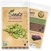 Photo Organic Bean Seeds, APPR. 30, Windsor Fava Bean, Heirloom Vegetable Seeds, Certified Organic, Non GMO, Non Hybrid, USA