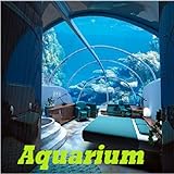 Aquarium Photo, best price $0.99 new 2024