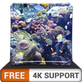 FREE Aquatic Beauty HD - Decorate your room with beautiful sea life aquarium on your HDR 4K TV, 8K TV and Fire Devices as a wallpaper & Theme for Mediation , Decoration for Christmas Holidays & Peace Photo, best price $0.00 new 2024