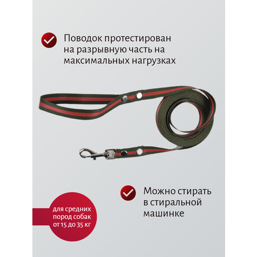 Поводок Хвостатыч для собак нейлоновый классический 10 м х 20 мм (Зелено-красный) фотография