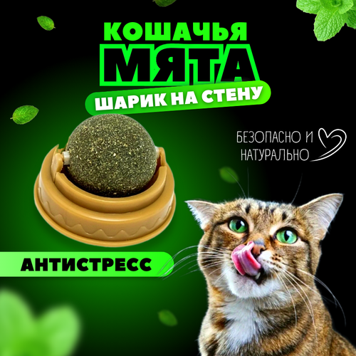 Кошачья мята / Шарик с кошачьей мятой на стену / Лакомство для кошек фотография