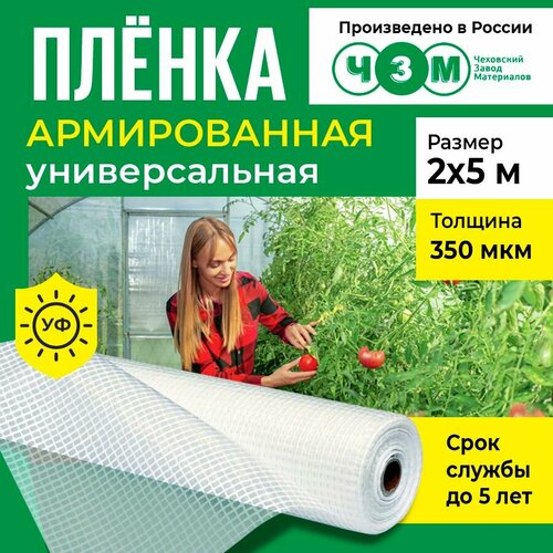 Пленка армированная универсальная 350 мкм, 2х5 м фотография