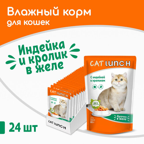 Влажный корм для кошек Cat Lunch кусочки в желе Индейка и Кролик, пауч 85гх24шт фотография