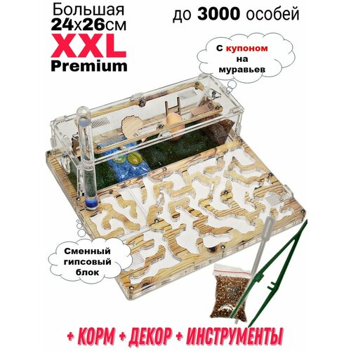 Большая муравьиная ферма XXL Premium 24*26см Полный комплект Сосна фотография