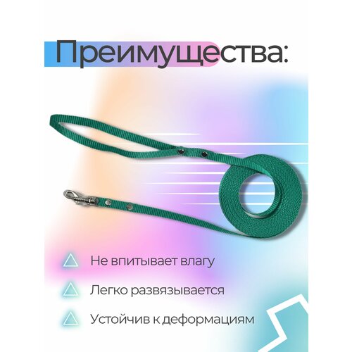 Поводок Хвостатыч для собак нейлоновый классический 5 м х 10 мм (бирюзовый) фотография