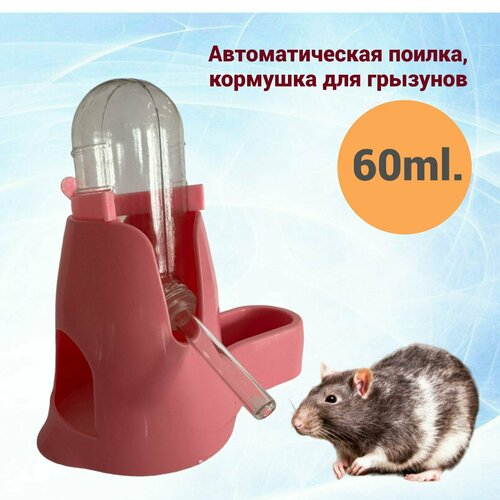 Поилка, кормушка для грызунов 60ml, розовая фотография