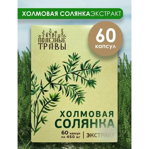 Холмовая солянка, экстракт 60 капсул Пчела и человек фотография