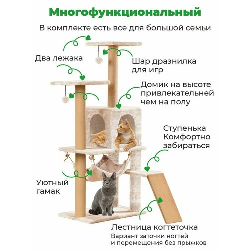 Когтеточка с домиком лестницей ZURAY 61х36х135 фотография