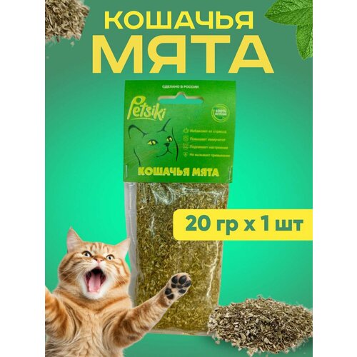 Кошачья мята 20 грамм фотография