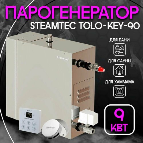 Парогенератор для хамама Steamtec TOLO KEY - 9 кВт (с пультом в комплекте) фотография