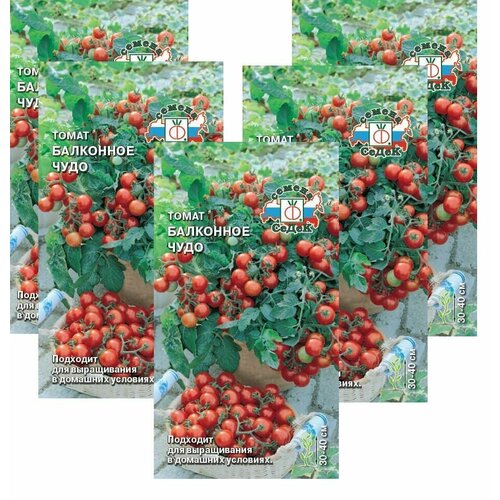 Семена Томат Балконное Чудо 0,1 г (СеДеК) , 5 пакетиков * 0,1 г фотография