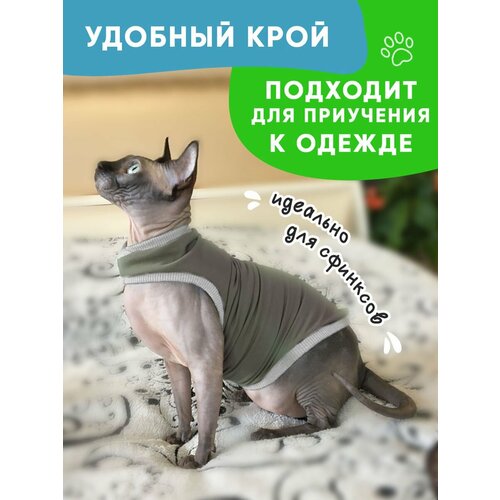 Одежда для животных кошек сфинкс и собак мелких пород, размер L фотография