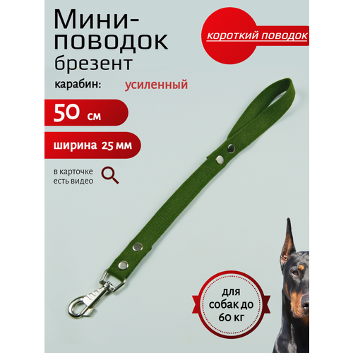 Мини-Поводок-водилка для собак Хвостатыч брезентовый с карабином (Зелёный) 50 см х 25 мм фотография