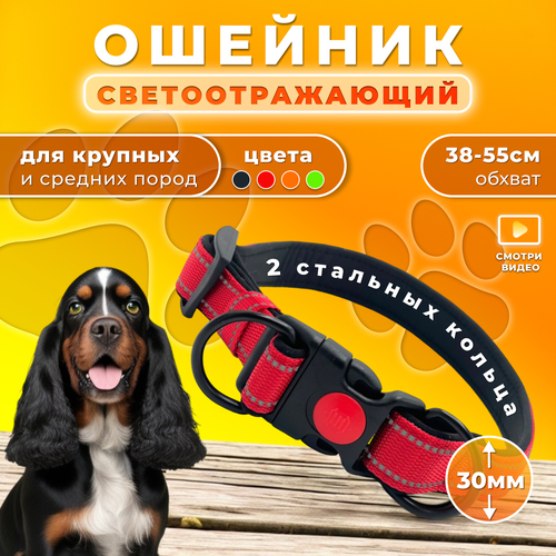 Ошейник Doggy&Dog Shop, для крупных и средних собак, с двумя кольцами фотография