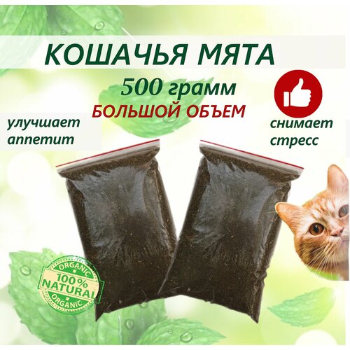 Кошачья мята лакомство для кошек 500 грамм. Котовник сушенный. Для приучения к месту, коррекции поведения, успокоительное. фотография