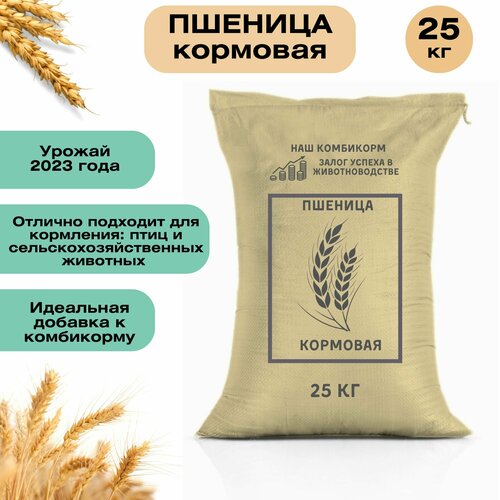 Пшеница кормовая 25 кг. Незаменимый продукт для сельскохозяйственных животных, подходит для кормления птицы, кроликов и КРС фотография